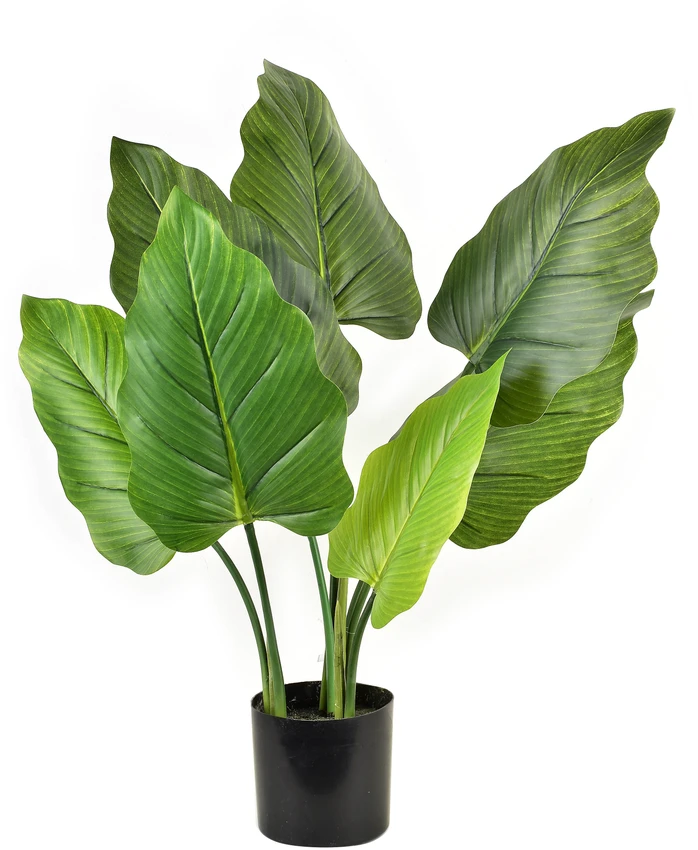 Lumarko Mondex Since 1986R VIRIDIS Dirbtinė alokazijos gėlė H65cm vazonėlyje