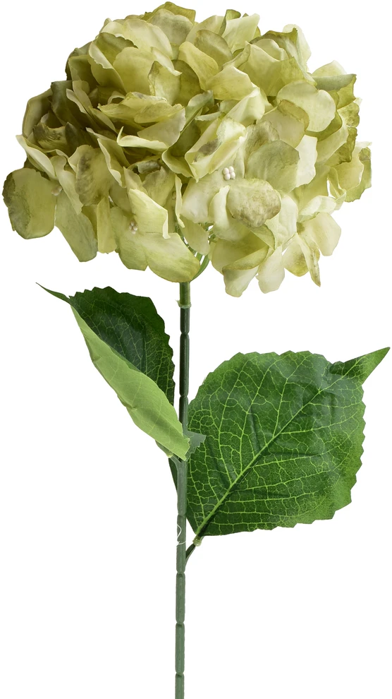 Przydasie Mondex Since 1986R VIRIDIS Dirbtinė gėlė HYDRENSION 73cm