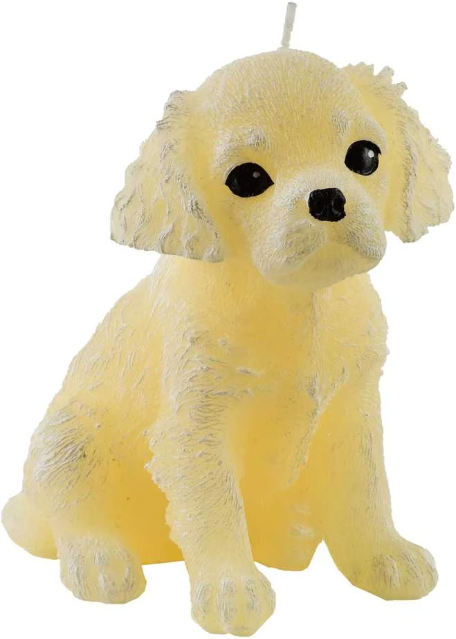 Mondex Žvakė Figūrėlė GYVŪNAI ŠUNS SPANIELIS 11x14cm kreminis parafinas