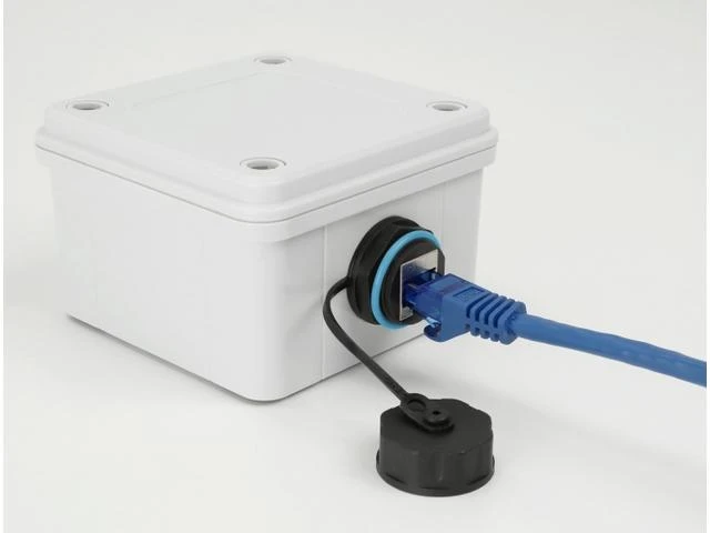 Delock kabelio jungtis RJ45 lizdas RJ45 lizdas Cat.6A su sandarinimo dangteliu