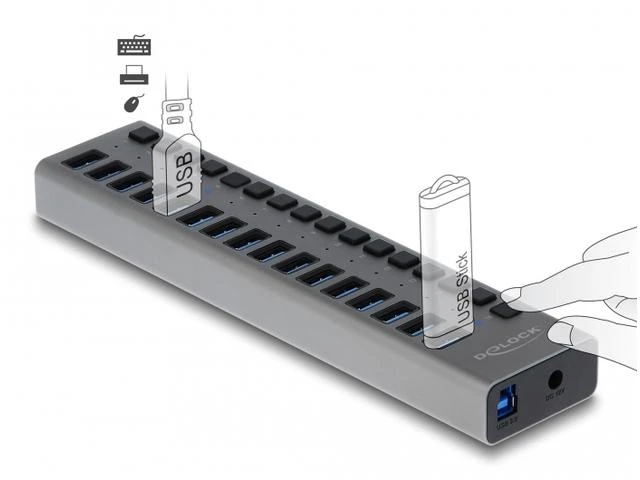 Delock External SuperSpeed USB Hub su 16 prievadų + jungikliu