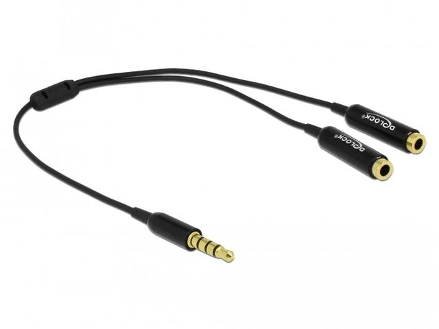 Delock skirstytuvo lizdo kištukas 3,5 mm 4 kontaktai> 2 x lizdas 3,5 mm 4 kontaktai 25 cm