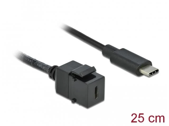 DELOCK Keystone modulis USB 3.0 C moteriai > USB 3.0 C kištukas su laidu