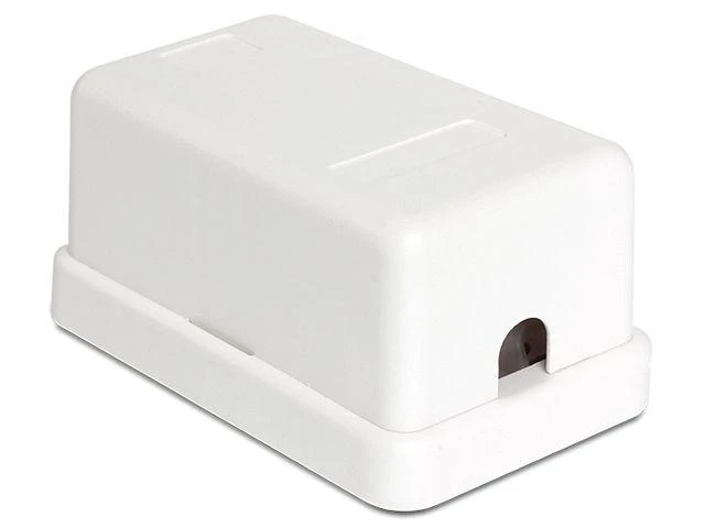 Delock KEYSTONE FX-MULTI JUNGČIŲ TST KORUSAS