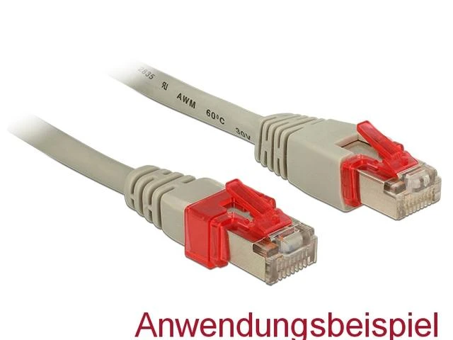 Sonstige Delock tinklo RJ45 remonto segtukas 40 vnt. rinkinys 2