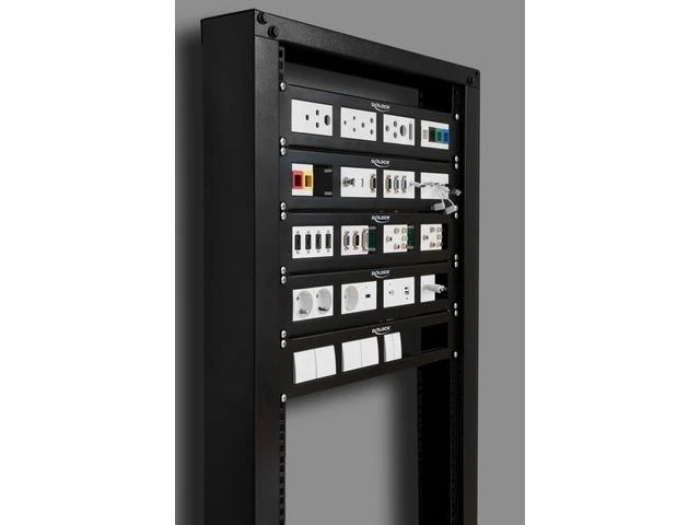 DeLock Patchpanel 19 2HE mit4x 90,5x45,2mm Ausschnitt Juodas