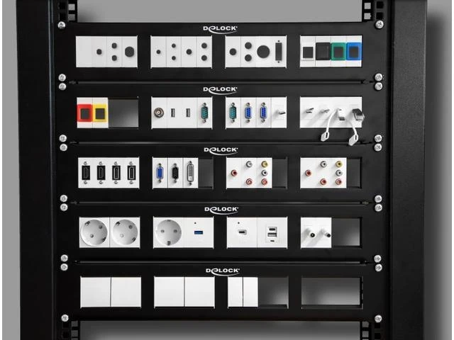 DeLock Patchpanel 19 2HE mit4x 90,5x45,2mm Ausschnitt Juodas
