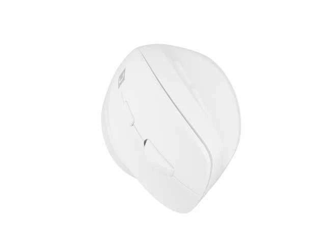 NATEC Crake 2 pelė Universal dešinei rankai RF belaidė + Bluetooth Optinė 2400 DPI