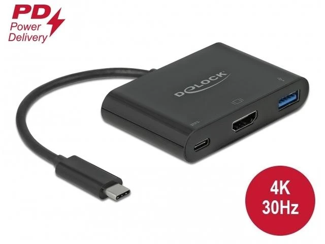 DeLock 64091 daugiafunkcis USB-C adapteris su jungtimis