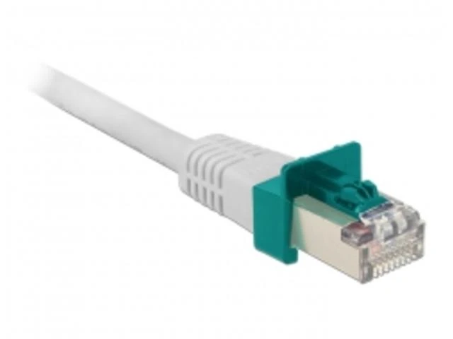 Delock Pradedančiųjų rinkinys Secure Clip RJ45 20 częściowy (86406)