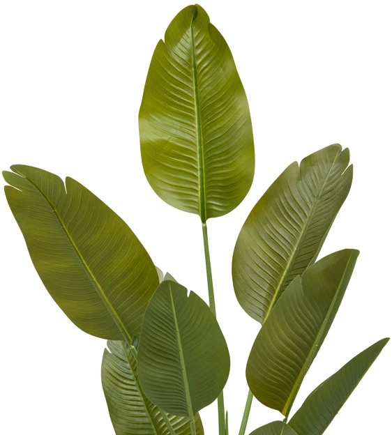 Dirbtinis bananų medis LORA, 140 cm