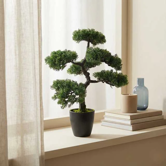 Dirbtinis bonsai medelis juodame vazone