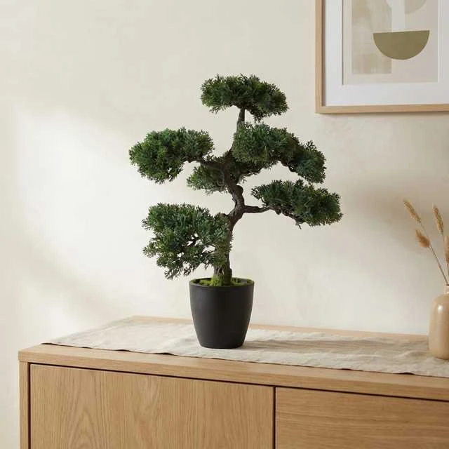 Dirbtinis bonsai medis tamsiame vazone