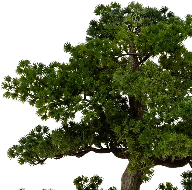 Artificial Bonsai medžio POLIN, juodas ceramic pot, 72 x 36 x 86 cm