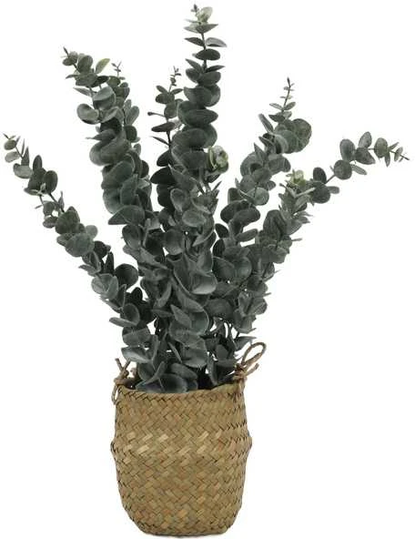 Dirbtinis eukaliptas pintame vazone 50 cm