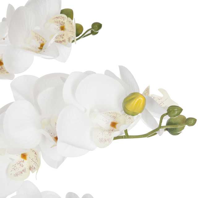 Dirbtinė orchidėja, 65 cm, cemento-marmuro vazonas