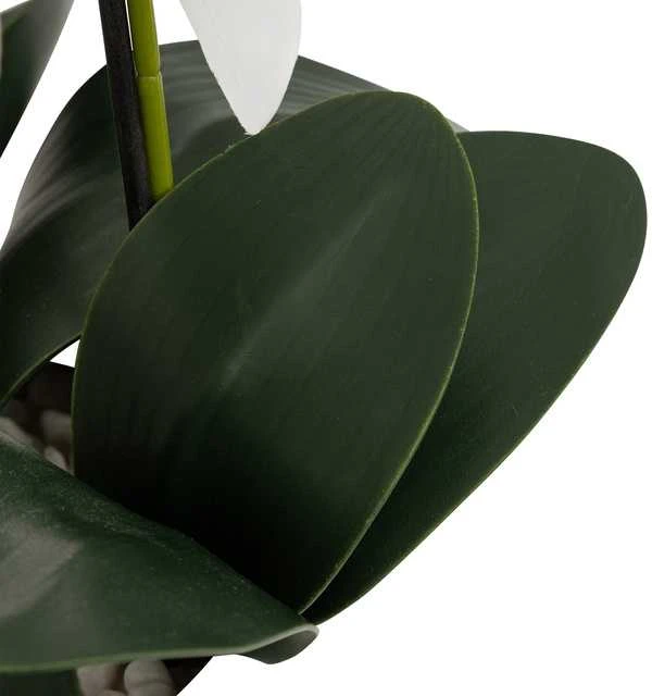 Dirbtinė orchidėja MICK – lapų tekstūra iš arti