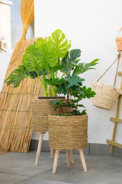 Atmosphera Atmosfera Dirbtinis augalas MONSTERA, 70 cm