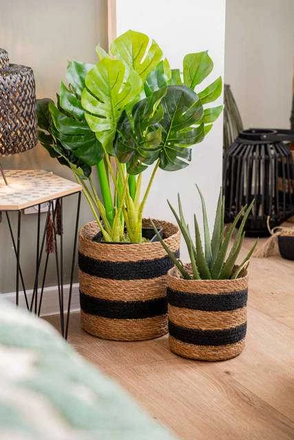 Dirbtinė monstera pintame krepšyje
