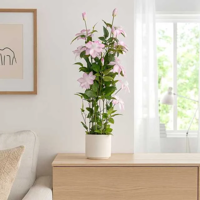 Dirbtinė gėlė BLOMMA su rožiniais žiedais vazone