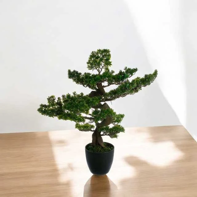 Dirbtinis bonsai medelis 80 cm