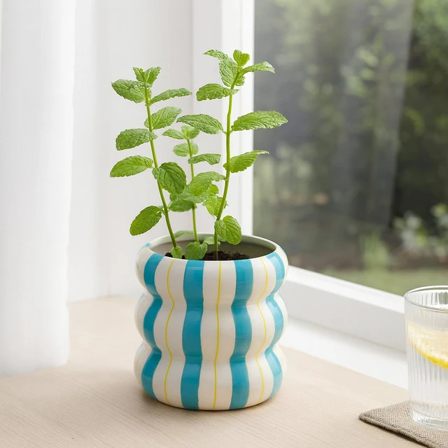 Home Styling Collection Keramikinė dryžuota vazono užvalkalas LINJE, 14 cm
