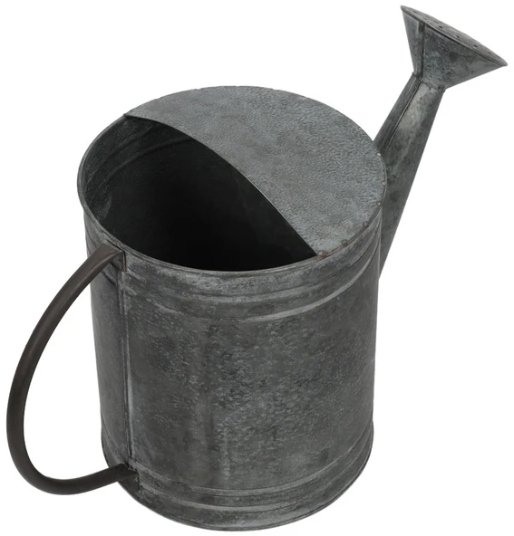 Home Styling Collection Dekoratyvinis laistytuvas metalinė