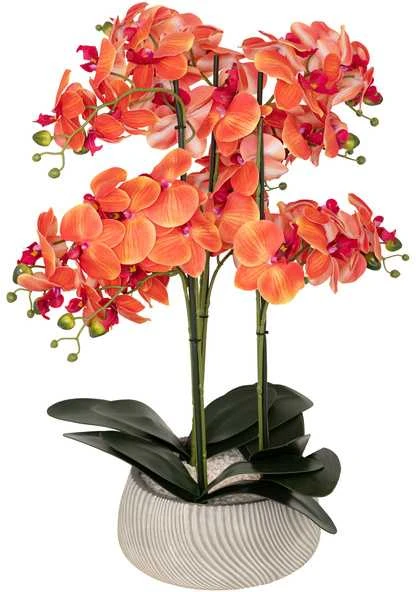 Oranžinė orchidėja SANAE pilkame vazone