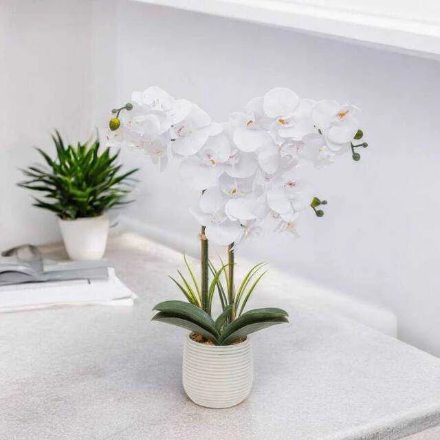 Dirbtinė orchidėja RIVA ribotame vazonėlyje