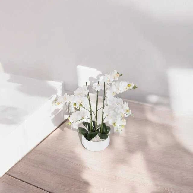 Dirbtinė orchidėja su vazonu
