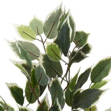 Dirbtinis augalas su margais lapais