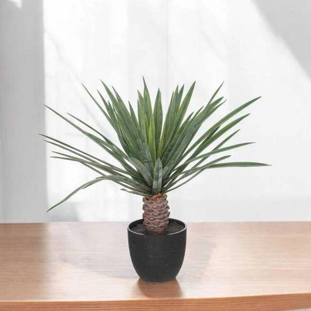 Atmosphera Dirbtinis delnas kaip gyvenantis juodoje sodinėje, aukštis 52 cm