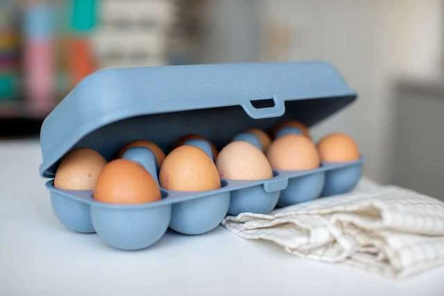 Koziol EGGS TO GO kiaušinių konteineris, 10 kiaušinių, OŽKAS