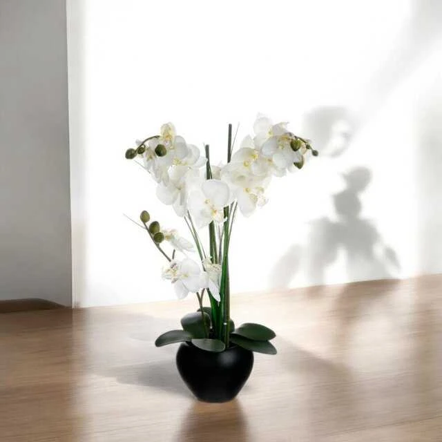 Dirbtinė orchidėja apvaliame juodame vazone