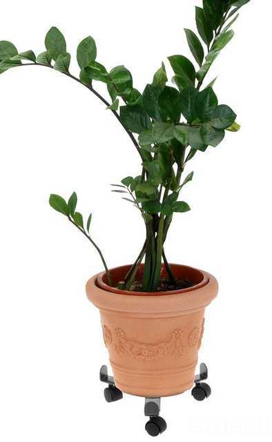ProGarden Augalų padėklai su ratukais metalinė reguliuojama 23-30 cm