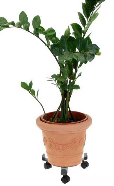ProGarden Augalų padėklai su ratukais metalinė reguliuojama 23-30 cm