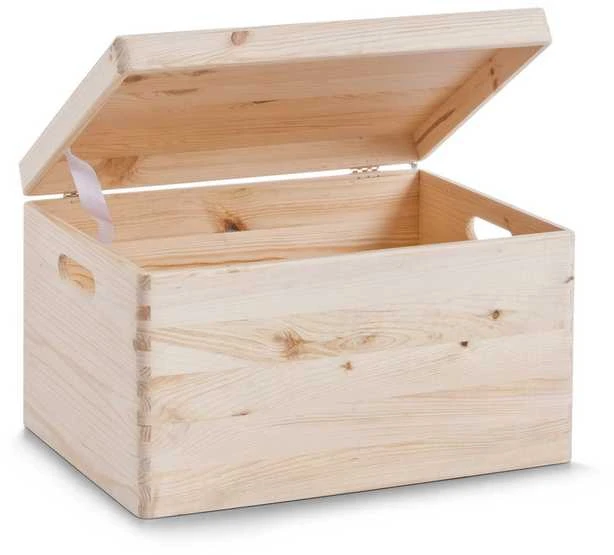 Sandėliavimo konteineris, organizatorius su dangteliu, 30 l, ZELLER