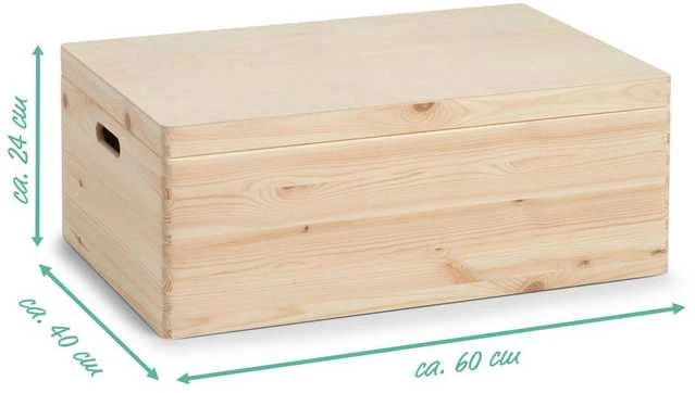 Sandėliavimo konteineris su dangčiu, organizatorius 58l, ZELLER