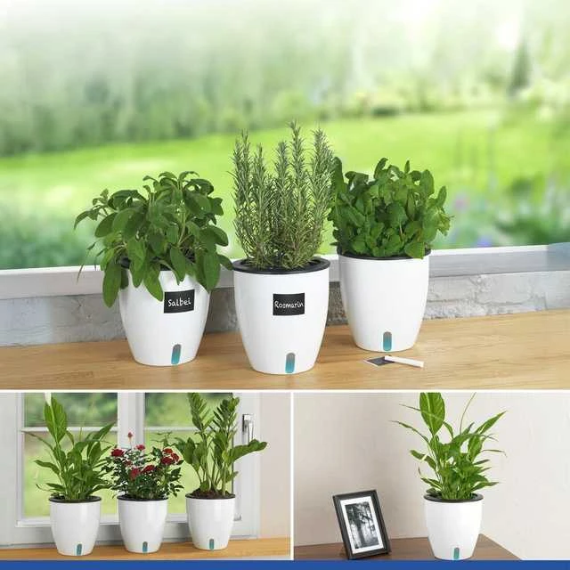 Maximex Trijų vazonų su laistymo sistema rinkinys, Ø 18 cm