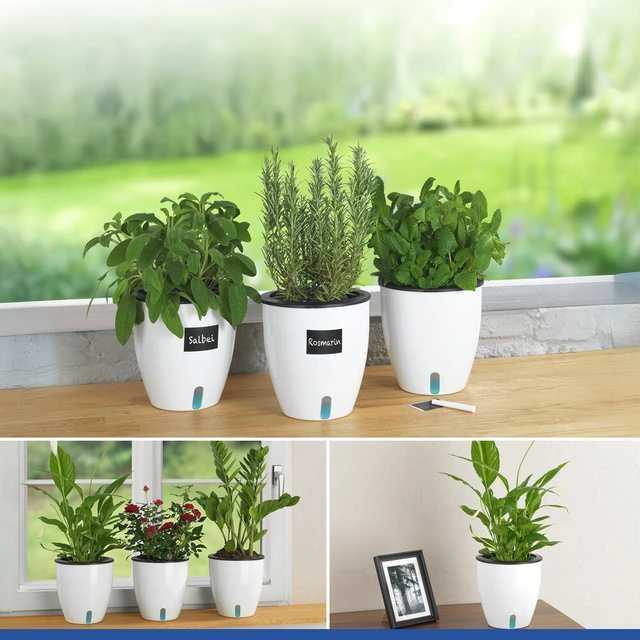 Maximex Trijų vazonų su laistymo sistema rinkinys, Ø 13 cm