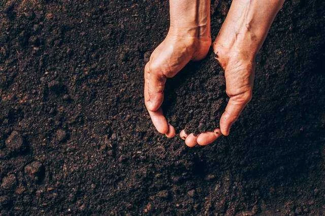 Bigbuy Garden Sodo kompostavimo dėžė, uždaras, su dangčiu - 300l