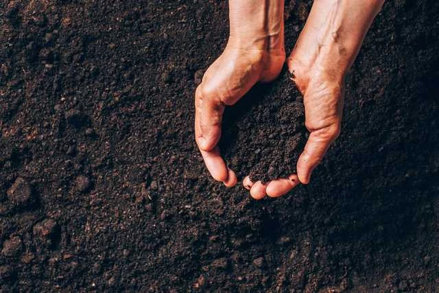 Bigbuy Garden Sodo kompostavimo dėžė, uždaras, su dangčiu - 300l