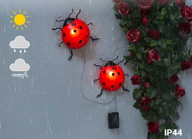 Maximex PIECES Saulės energija varomi sodo žibintai, LED boružėlės, 2 vnt., 20 cm