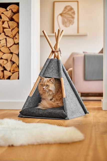 Zeller Palapinė kotka tipi, filc / drewno, pilka