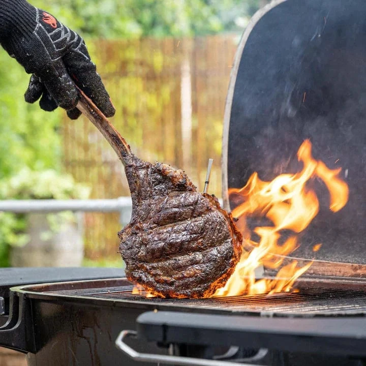 MEATER Pro belaidis išmanus mėsos termometras griliui ir orkaitei