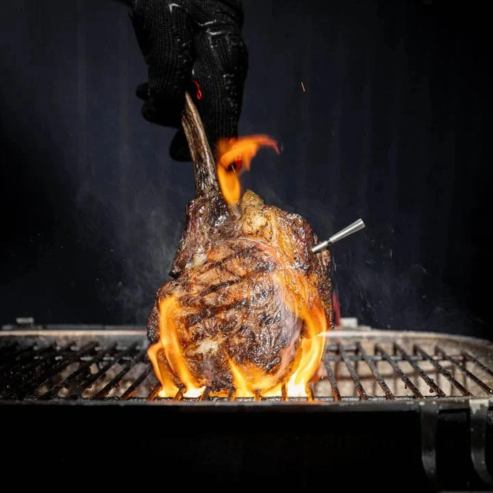 MEATER Pro belaidis išmanus mėsos termometras griliui ir orkaitei