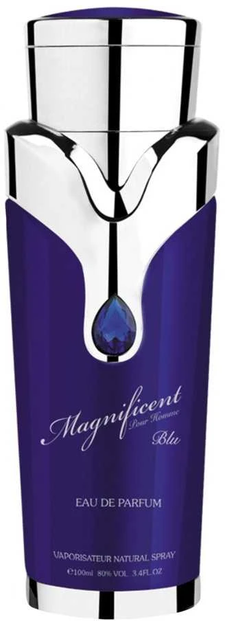 Armaf Magnificent Mėlyna Pour Homme EDP parfumuotas vanduo, 100 ml