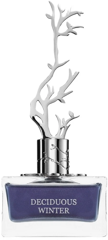 Aurora Scents Aurora Deciduous Winter EDP parfumuotas vanduo moterims, 100 ml