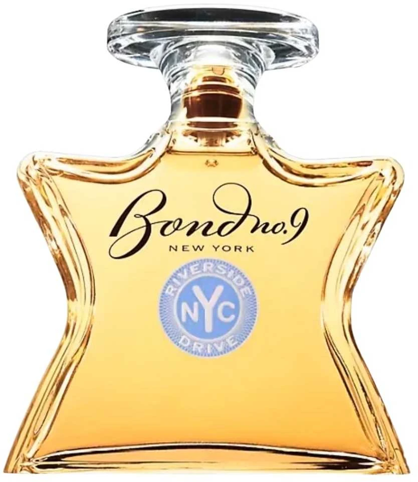 Bond No. 9 Riverside Drive EDP parfumuotas vanduo vyrams, 100 ml