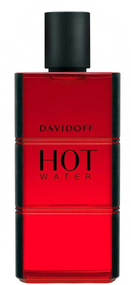 Kvepalai vyrams Davidoff Hot Water EDT, 110 ml